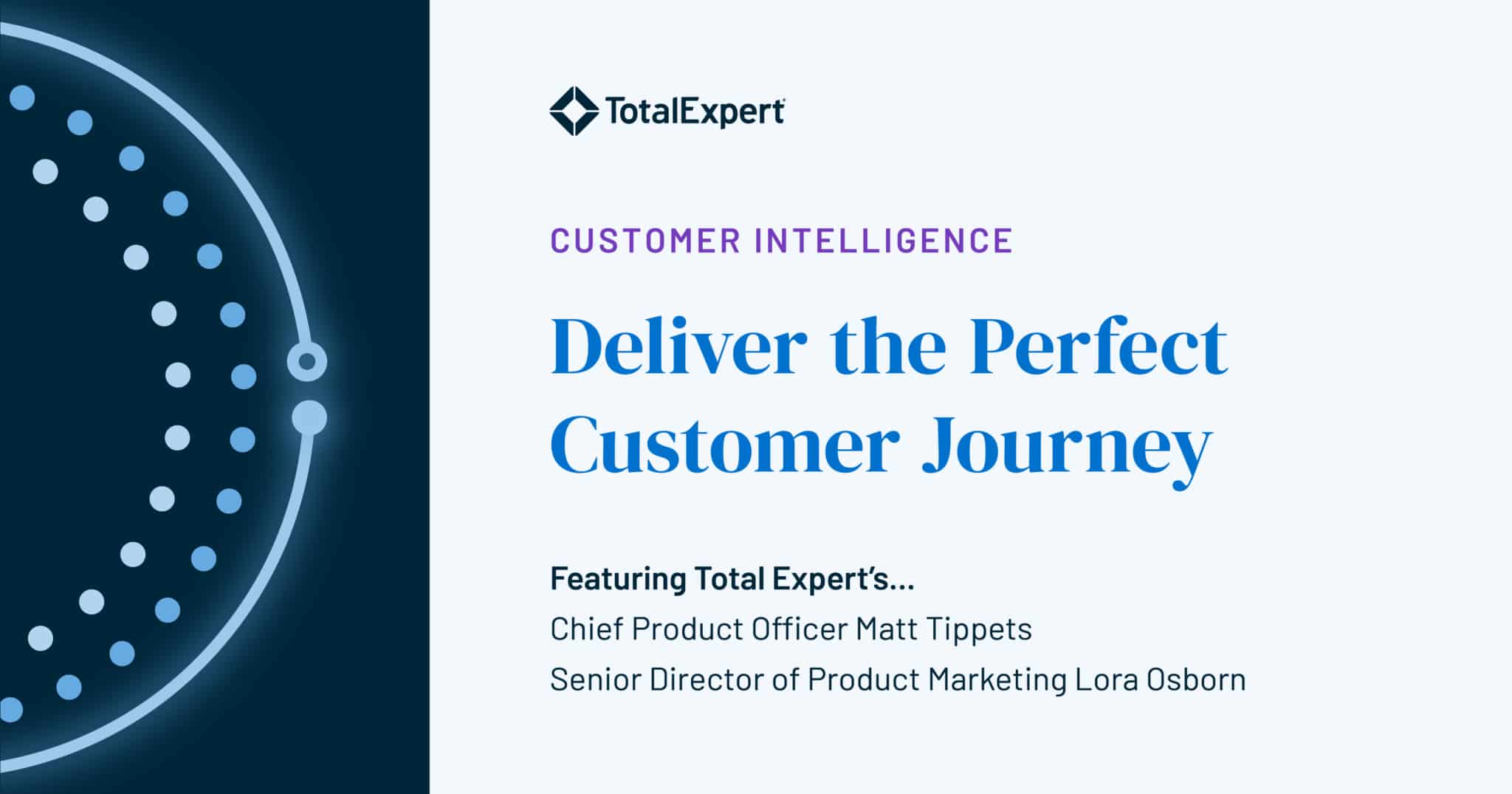 Customer Intelligence - Deliver the Perfect Customer Journey webinar banner